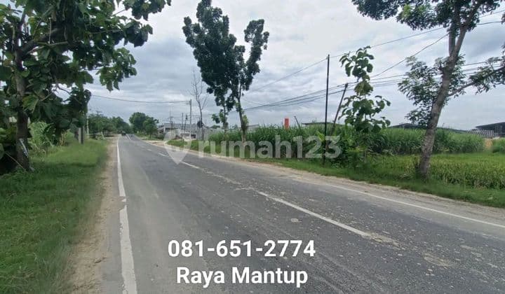 Tanah Raya Mantup Lamongan
