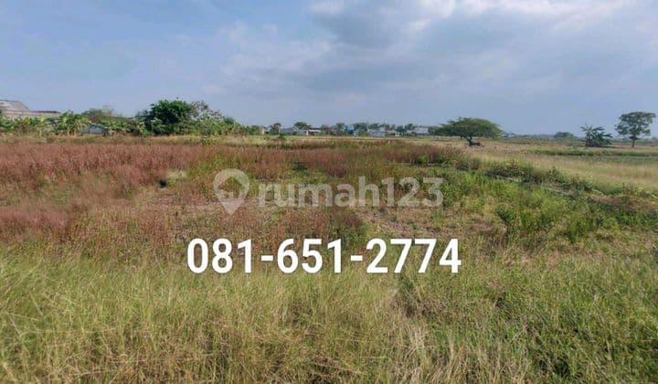 Tanah Di Menganti Gresik.