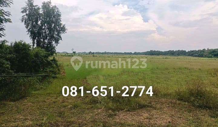 Nganjuk Industrial Land