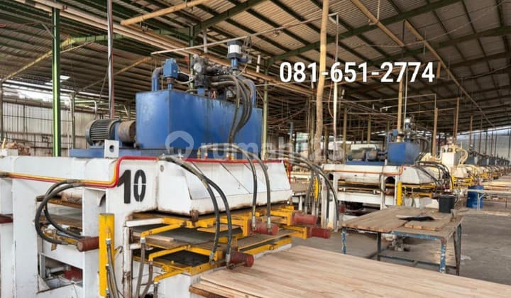 Pabrik Kayu Di Probolinggo