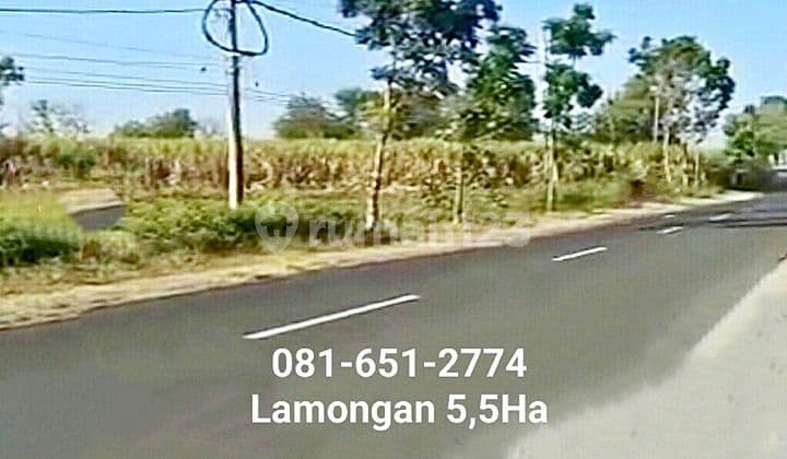 Tanah Industri Lamongan.