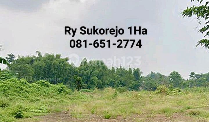 Tanah Di Sukorejo Pandaan