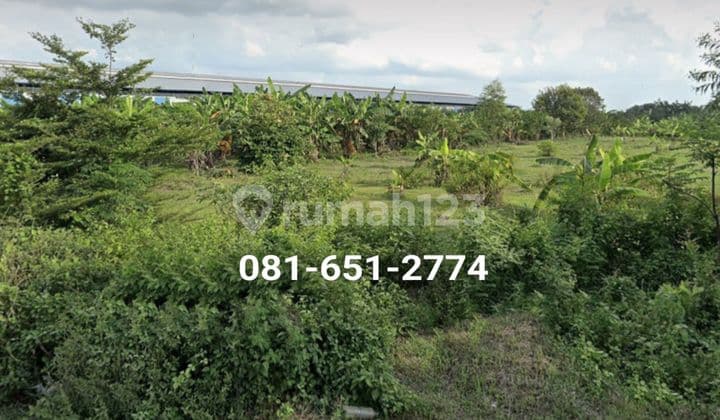 Tanah di Nganjuk Lengkong