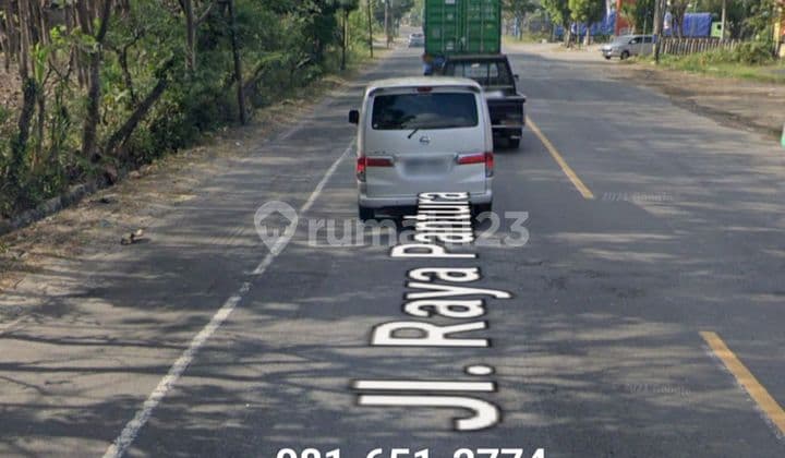 Land in Widang Tuban