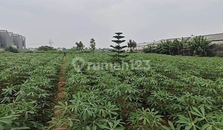 Dijual Tanah Kavling Seluas 2200 di Pondok Petir