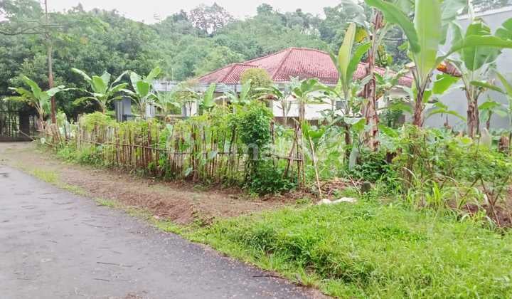 Kavling 400m2 Jl. Pangkalan Jati Cemplang Barat Cilendek Bogor