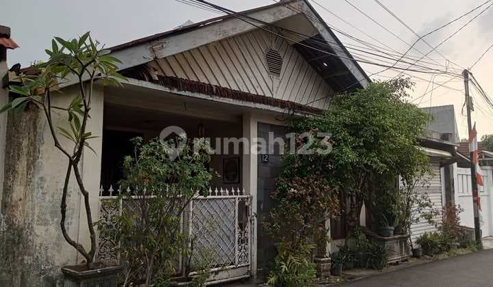 Rumah hitung tanah SHM Utan Kayu Selatan Matramana Jakarta Timur