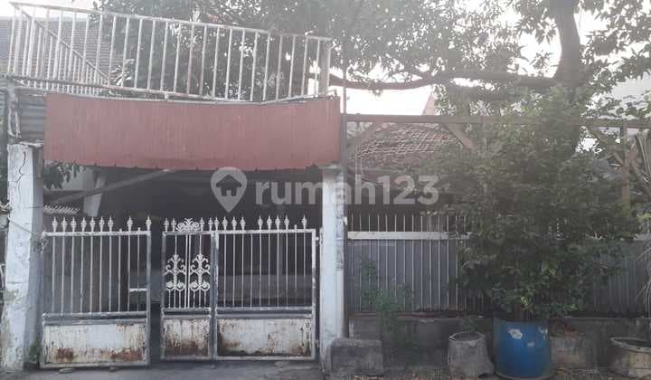 Cheap Sale Old House Count Land Cempaka Putih Timur 9