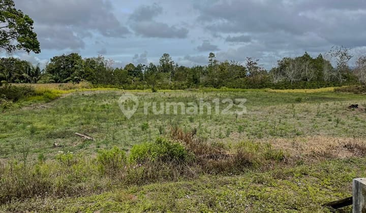 Kebun di Lintong Nihuta Sumatera Dekat Dolok Sanggul Paranginan