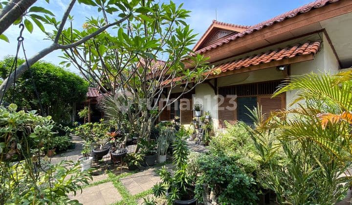 Rumah Idaman di Cinere Estate