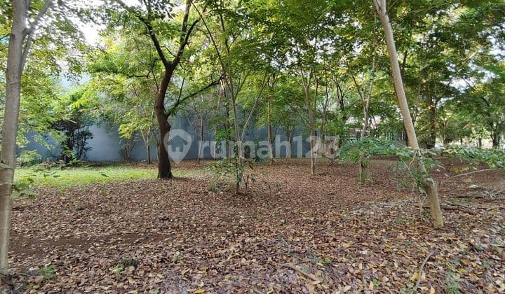 Kavling Pinisi Pik Termurahtidak Hadap Rumah Jalan Lebar