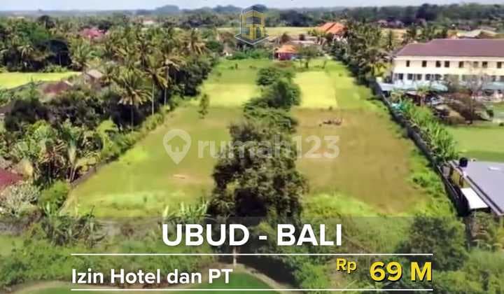 Tanah Ubud Bali View Sawah Gratis Izin Hotel Dan Pt