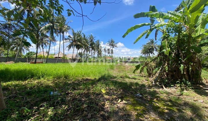 Residential Land For Sale In Lodtunduh, Ubud - Peaceful Villa Environment