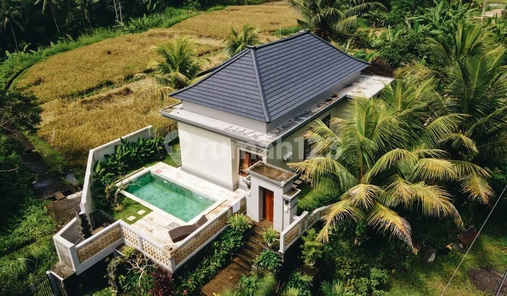 Exquisite 2 Br Villas Surrounded With Paddy Field, Ubud.