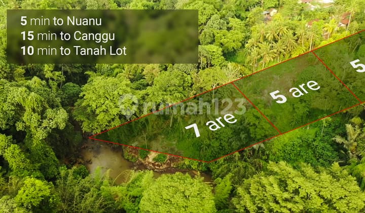 Exclusive Land For Lease Near Nuanu Only 10 Minutes To The Beach