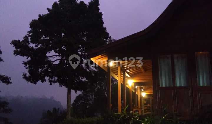 Exclusive Property Opportunity In Payangan, Gianyar.