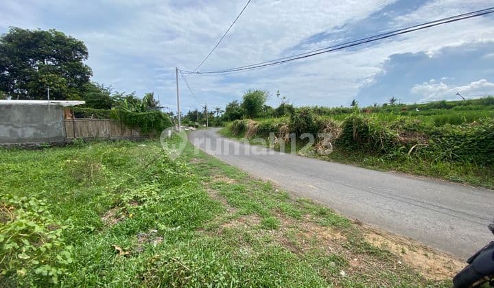 Small Plot Land For Sale At , Keramas Gianyar