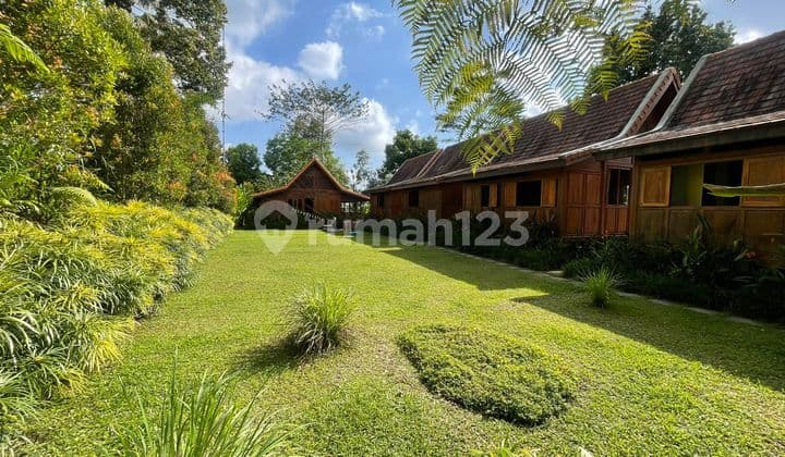 Villa And Spa Business Need Immediate Sale At Prime Area Payangan