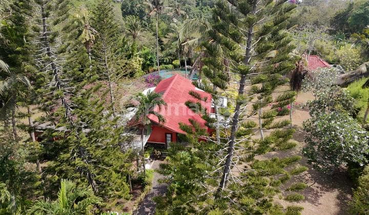 Architectural Masterpiece A Timeless Riverfront Villa Tabanan