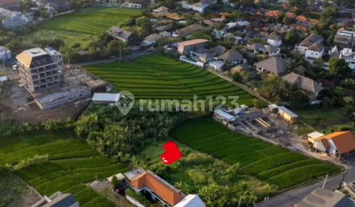 Prime Beachside Land For Sale In Pererenan, Canggu