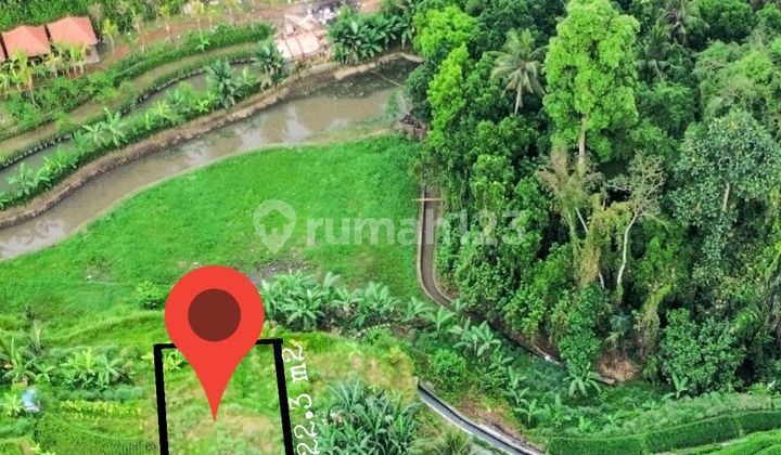 Magical Riverside Land In Front Of Beji Waterfall - Ubud Area
