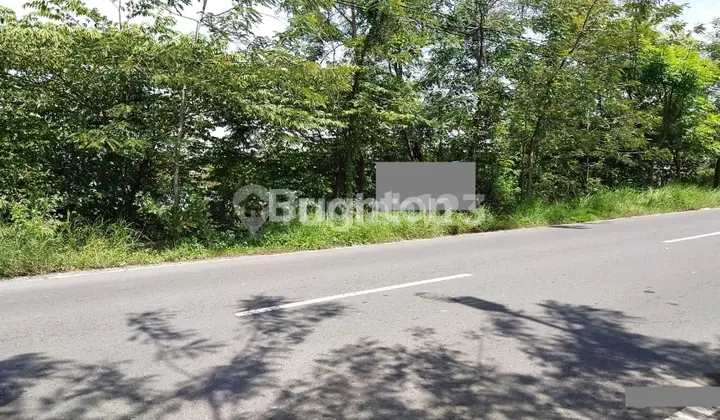 Tanah Berlokasi Di Nol Jl Raya Cerme-Metatu Gresik