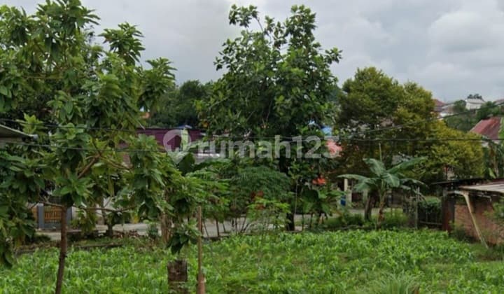 Tanah di Papan Lestari