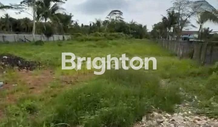 TANAH POROS JALAN BESAR MULAWARMAN (211)