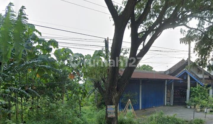 Tanah Raya Purwosari O jalan raya . Pandaan .