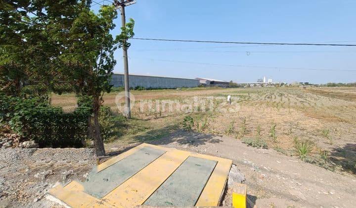 Tanah Daerah Industri WringinAnom . Gresik