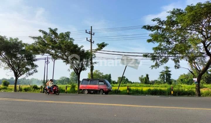 Tanah Raya Burneh Bangkalan Komersial Area. Lokasi Strategis Selangkah Ke By Pas Suramadu. Bangkalan Madura.