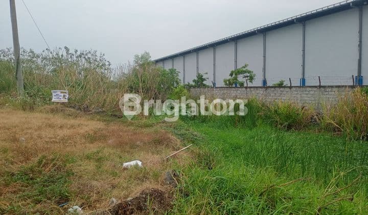 TANAH INDUSTRI RAYA KALIWUNGU KENDAL DEKAT KIK