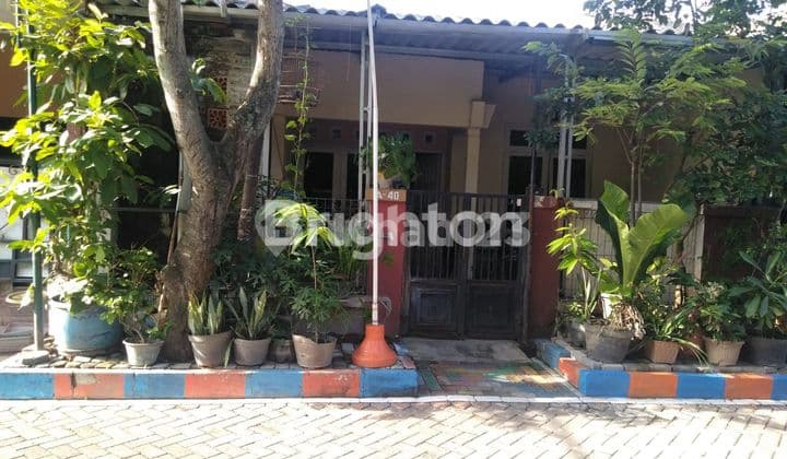 RUMAH PLAMONGAN INDAH SEMARANG