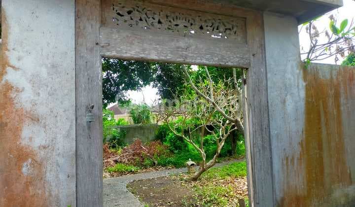 Tanah Strategis Harga Murah di Padang Linjong, Canggu TT