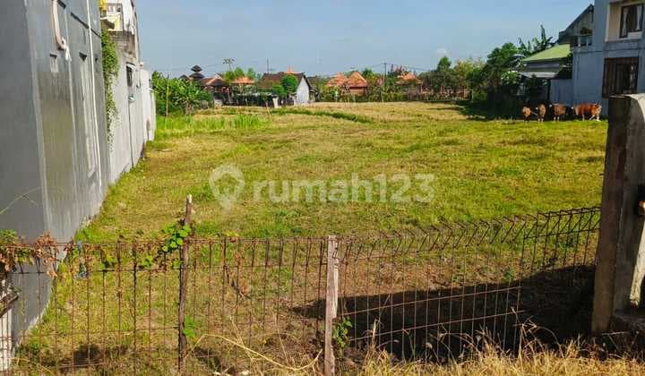 Tanah Zona Kuning Cocok untuk Hunian Padonan Badung