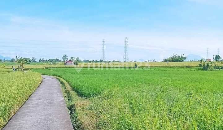 Tanah Strategis Cocok untuk Villa di Munggu Min. 30 Tahun AG