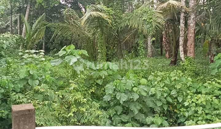 Tanah Sewa Spesial Lokasi Strategis Lodtunduh