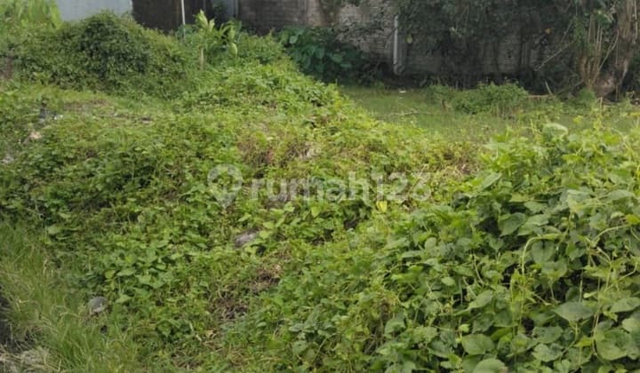 Tanah Zona Kuning Munggu Cocok Villa Rental