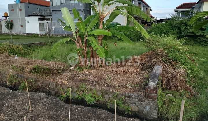 Land for Sale in Tukad Badung, Prime Strategic Location