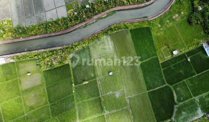 TANAH VIEW SAWAH SUNGAI MURAH DI SEMINYAK AREA