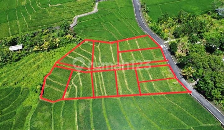 TANAH DI JALAN MUNGGU UTAMA COCOK VILLA RENTAL HARGA MURAH