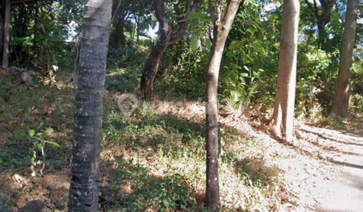 JUAL TANAH VIEW OCEAN COCOK VILLA HARGA MURAH