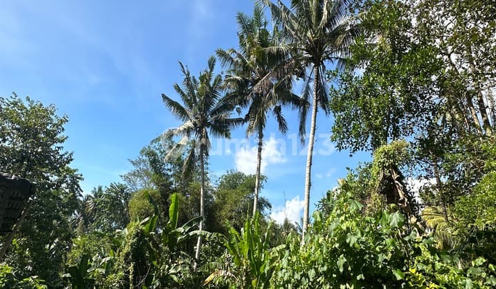 LAND FOR RENT WITH RIVER AND FOREST VIEW IN SAYAN LINGKUNGAN VILLA