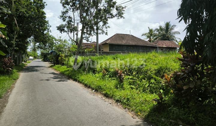Jual Tanah Ubud Area Sangat Istimewa Langka