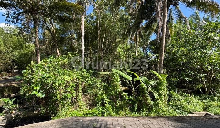 Land Lease for Villa View River Forest Rice Fields