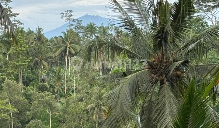 Cheap Land For Villa Resort Hotel Super View