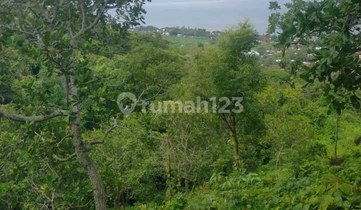 For Sale Strategic Land in Temukus Lovina Near Krishna Souvenirs