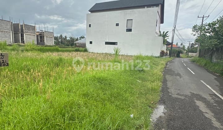 Tanah View Sawah Lingkungan Villa Cocok Vila Pribadi