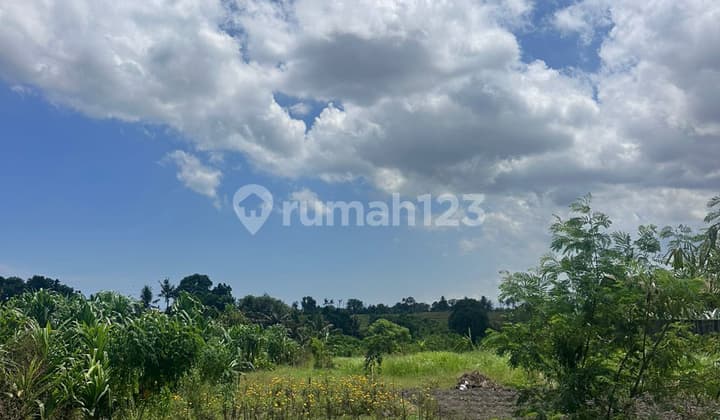 Disewakan Tanah Premium di Tumbak Bayuh Luas