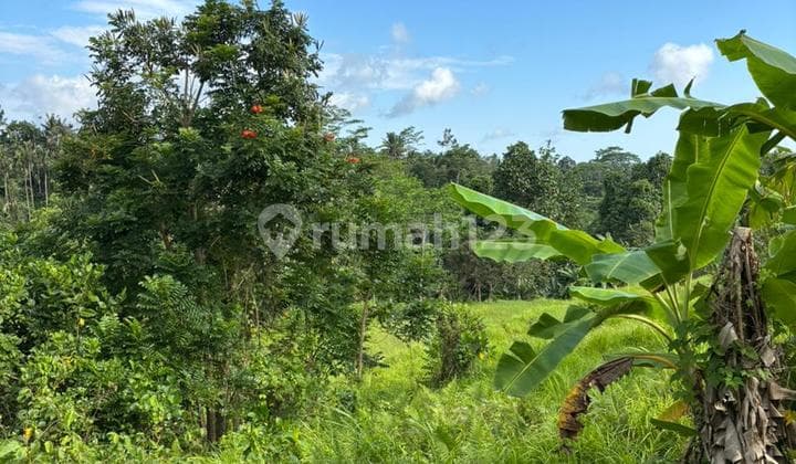 Tanah Sewa Murah View Keren Siap Bangun Vila Hotel Resort